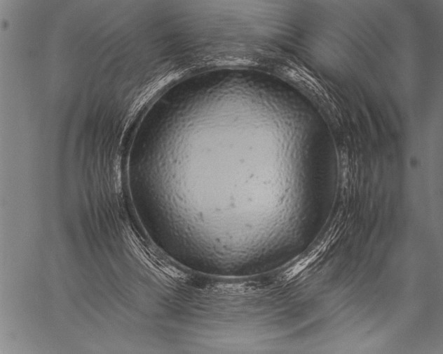 X0000057100298200509301624