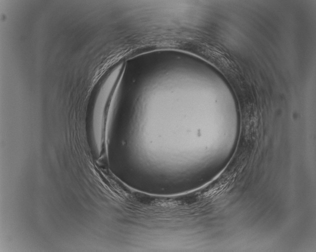 X0000057100299200509301624