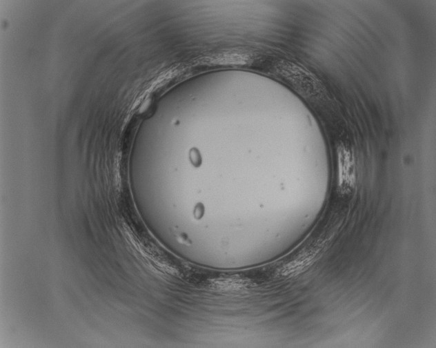 X0000057100300200509301624