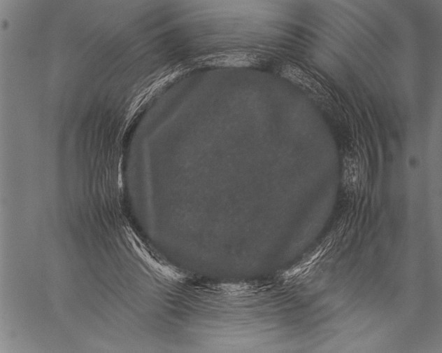 X0000057100302200509301624