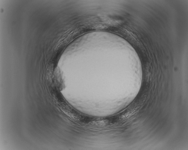 X0000057100307200509301624