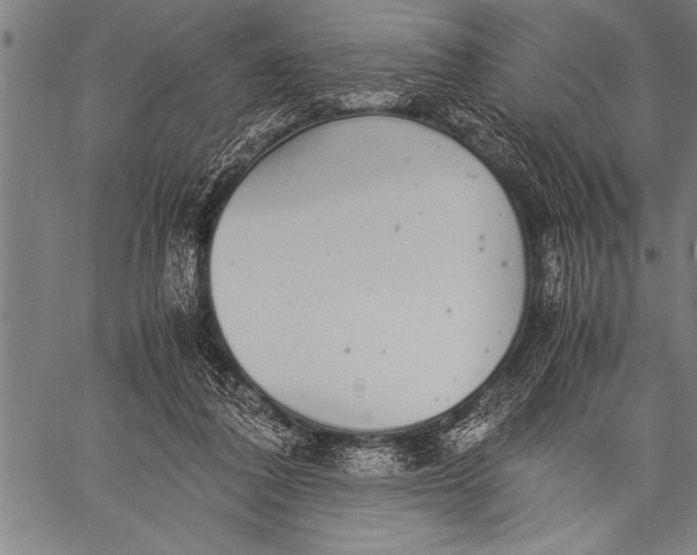 X0000057100308200509301624