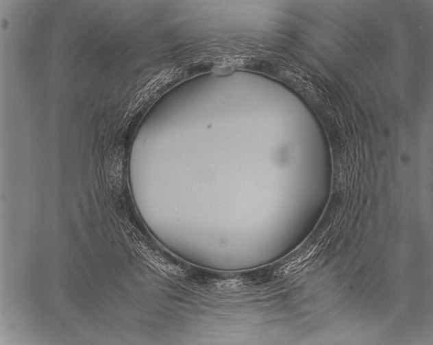 X0000057100309200509301624