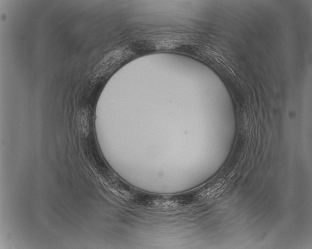 X0000057100311200509301624