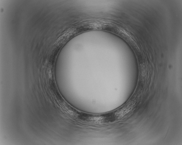 X0000057100313200509301624