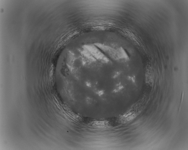 X0000057100314200509301624