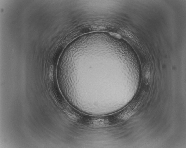 X0000057100315200509301624