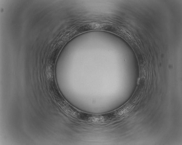 X0000057100317200509301624