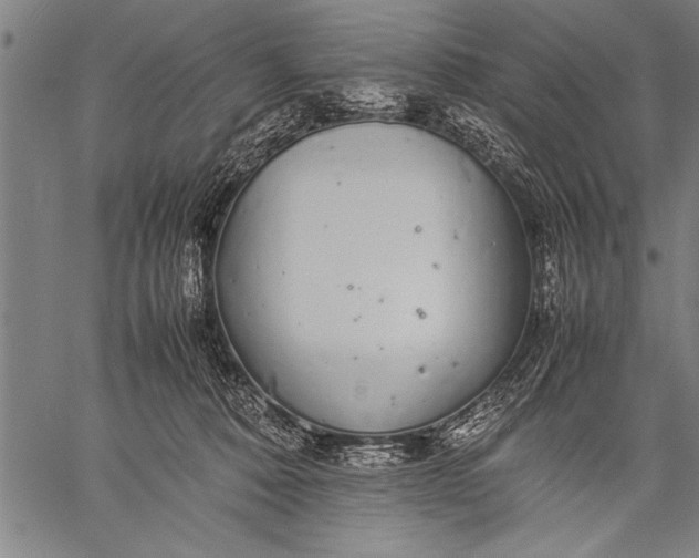 X0000057100320200509301624