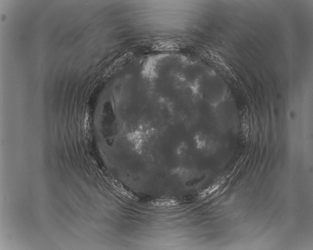 X0000057100322200509301624