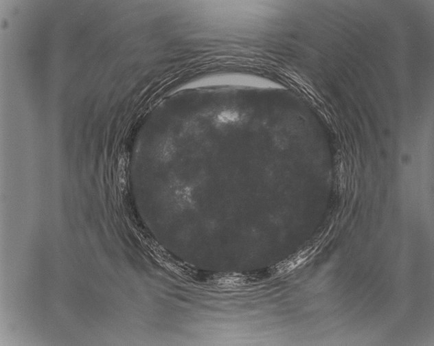 X0000057100325200509301623