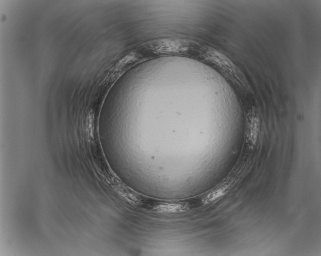 X0000057100326200509301623