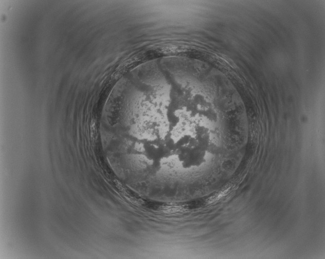 X0000057100327200509301623