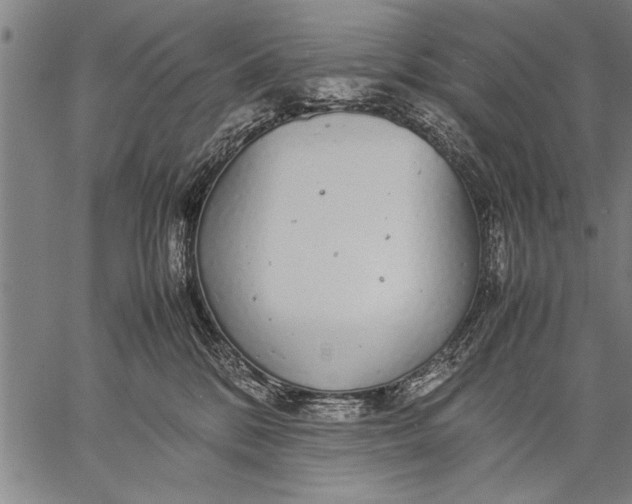 X0000057100328200509301623