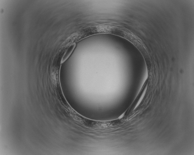 X0000057100329200509301623