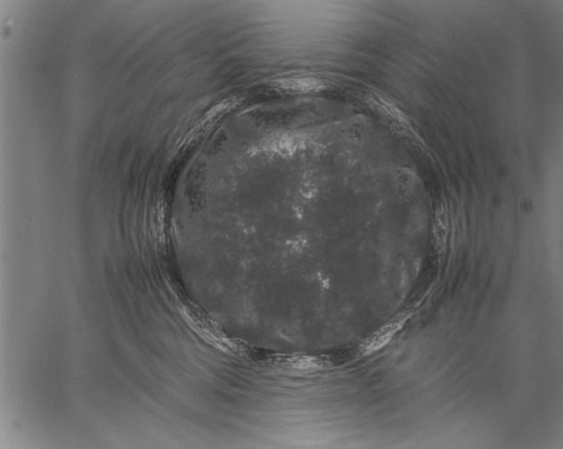 X0000057100330200509301623