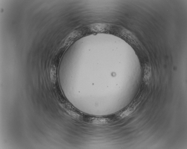 X0000057100332200509301623