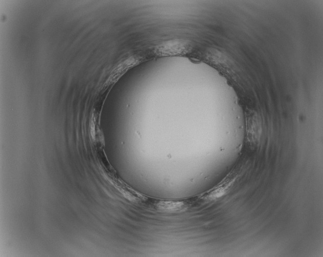 X0000057100334200509301623