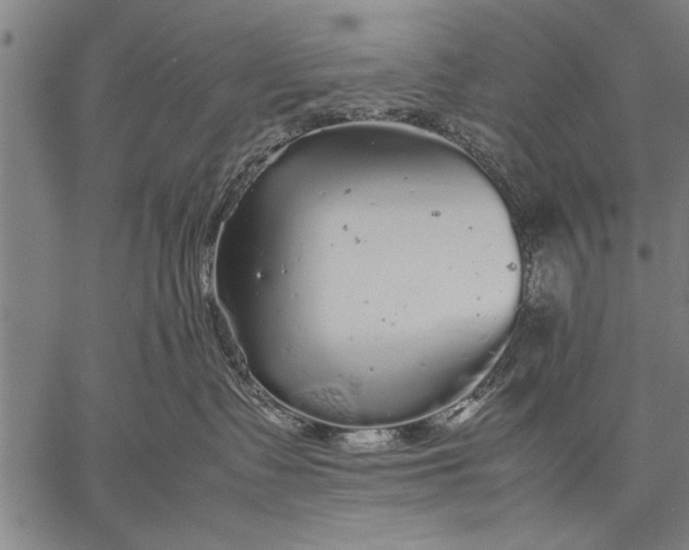 X0000057100335200509301623