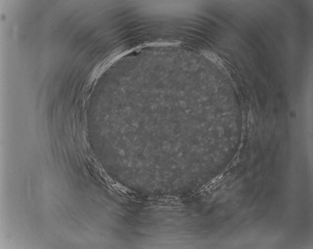 X0000057100337200509301622