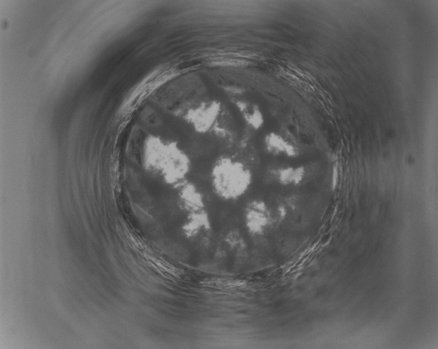 X0000057100339200509301623