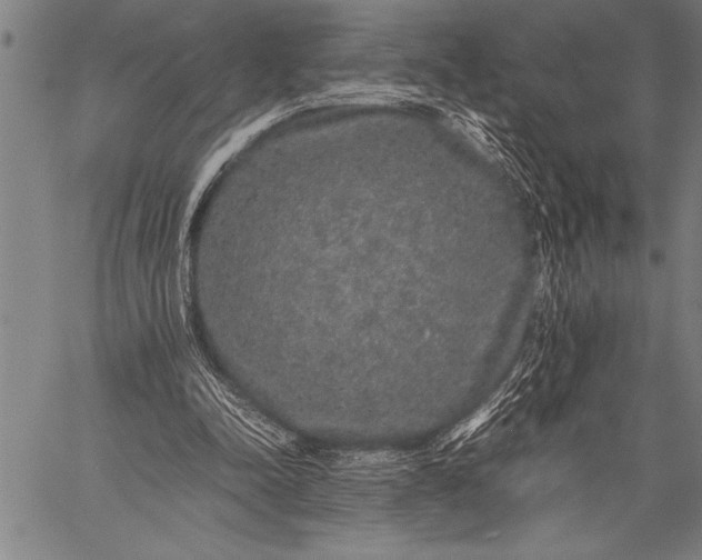 X0000057100342200509301623