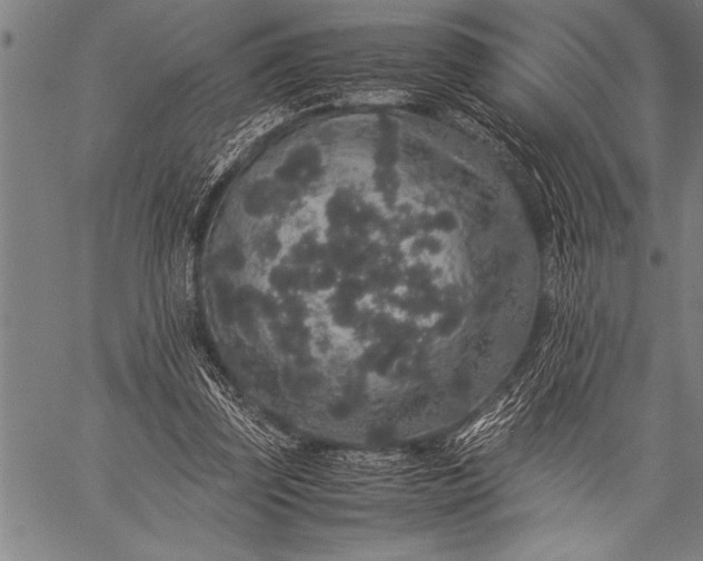 X0000057100347200509301623