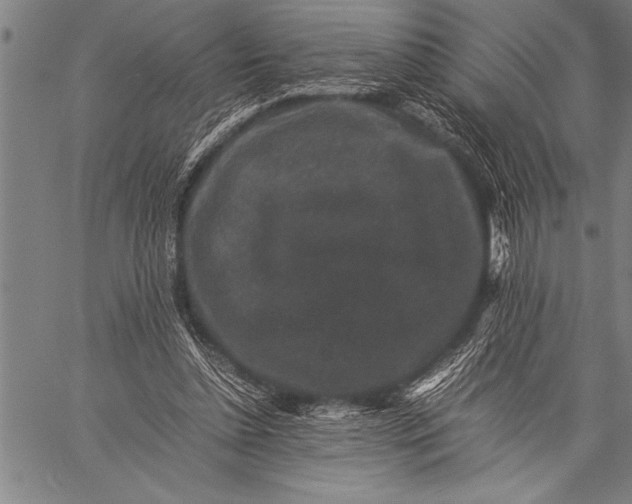 X0000057100348200509301623