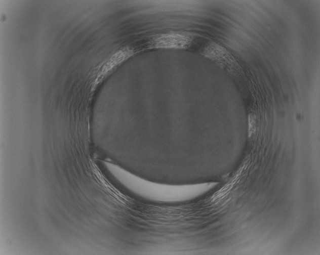 X0000057100349200509301623