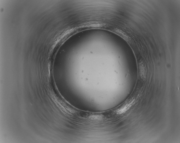 X0000057100350200509301623