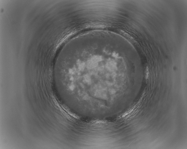 X0000057100352200509301623