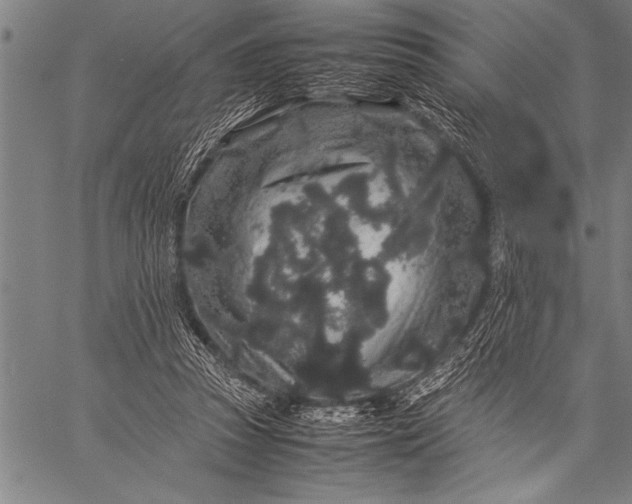 X0000057100353200509301623