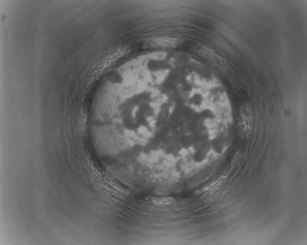 X0000057100355200509301623