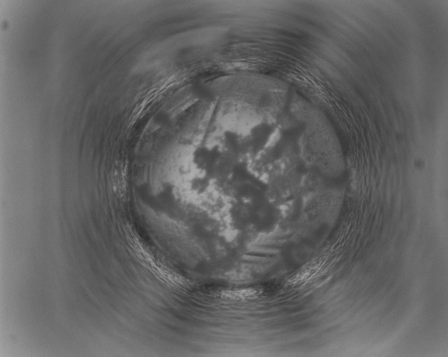 X0000057100357200509301623