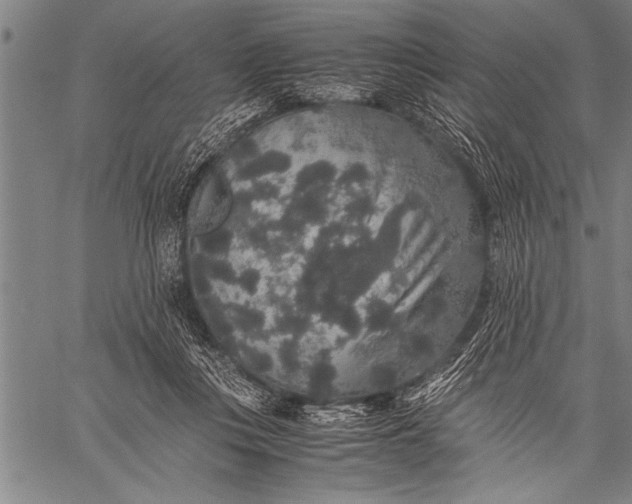 X0000057100359200509301623