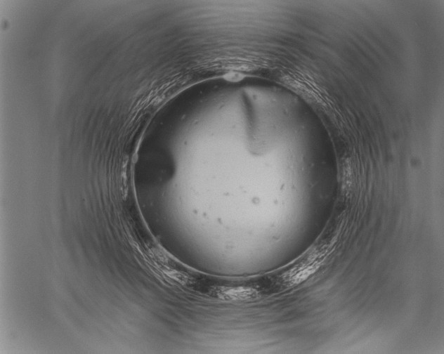 X0000057100360200509301623