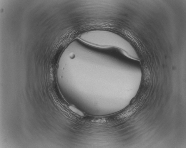 X0000057100362200509301623