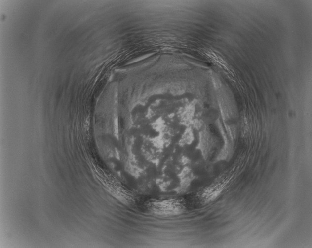 X0000057100365200509301623