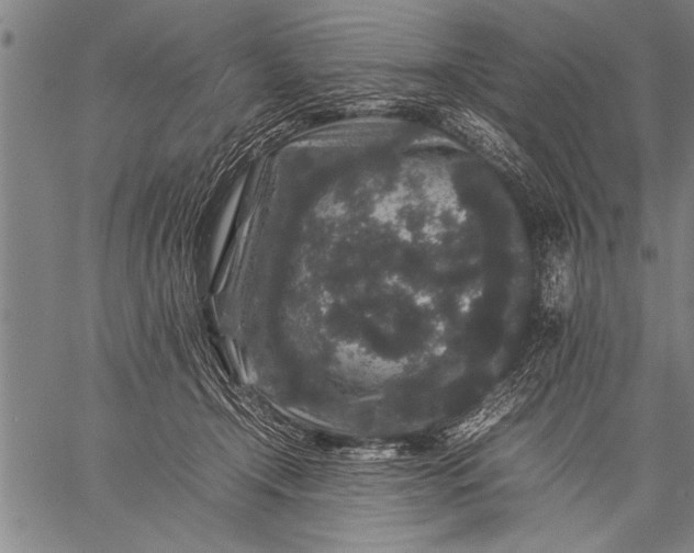 X0000057100366200509301623