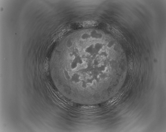 X0000057100367200509301623