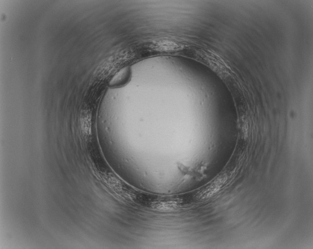 X0000057100368200509301623