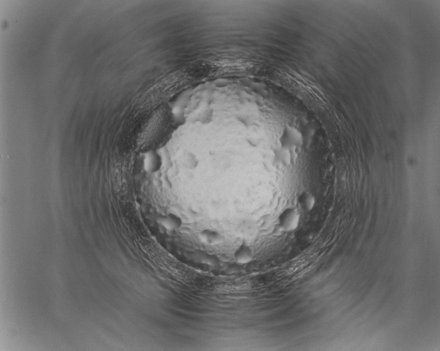 X0000057100369200509301623