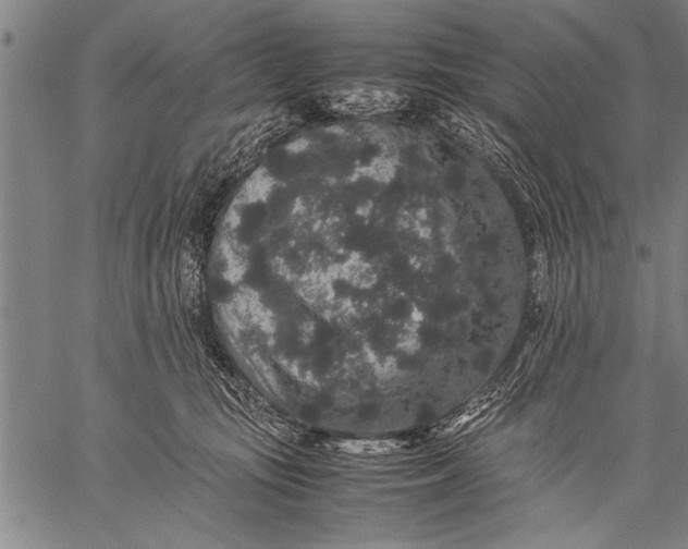 X0000057100371200509301623