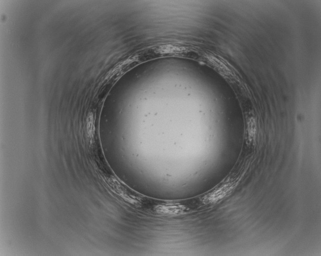 X0000057100372200509301623