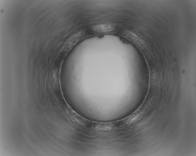 X0000057100373200509301623