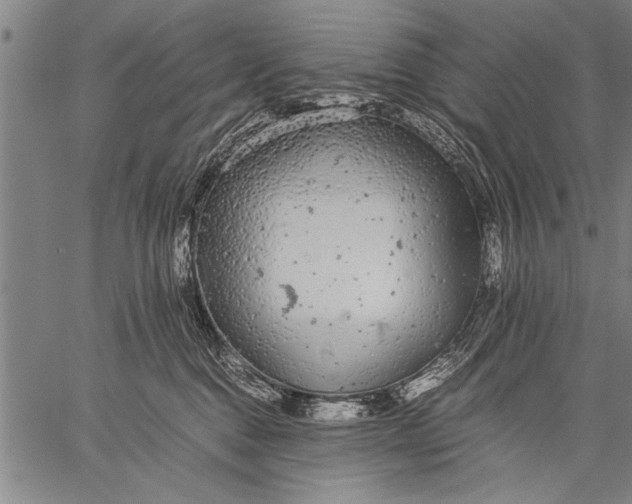 X0000057100376200509301623