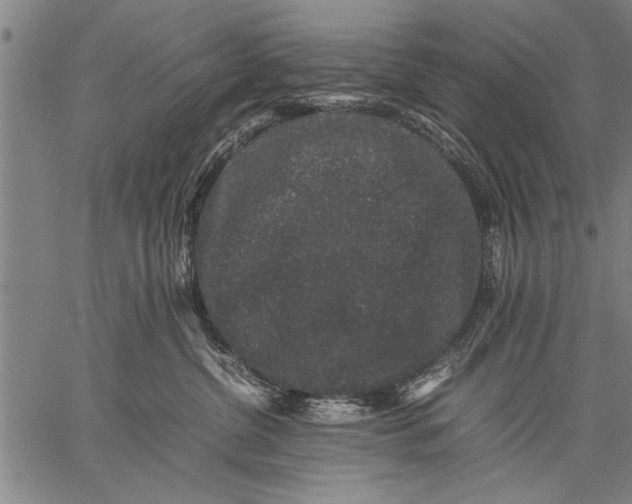 X0000057100380200509301623