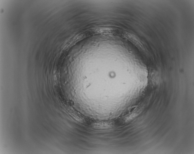 X0000057100381200509301623