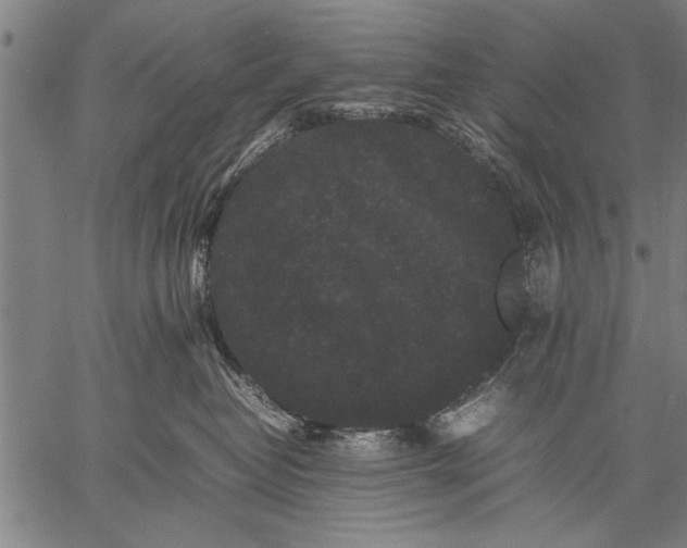 X0000057100382200509301623