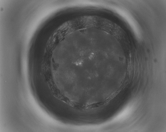 X0000057100383200509301623